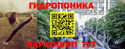ECSTASY Моздок