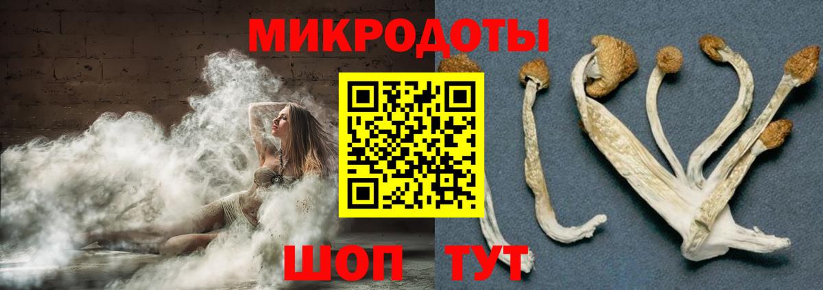 Галлюциногенные грибы мухоморы Таганрог
